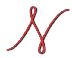 NSP logo